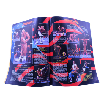 WWF Magazin 11/1993 | Ehapa Verlag | Lex Luger SummerSlam Cover | hoppla-stuff.de